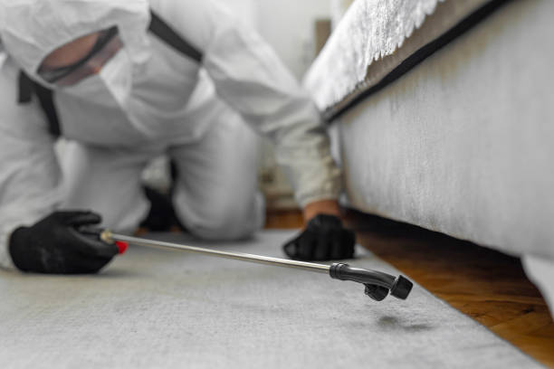 Professional Bed Bug Control technician working in Eastland, TX